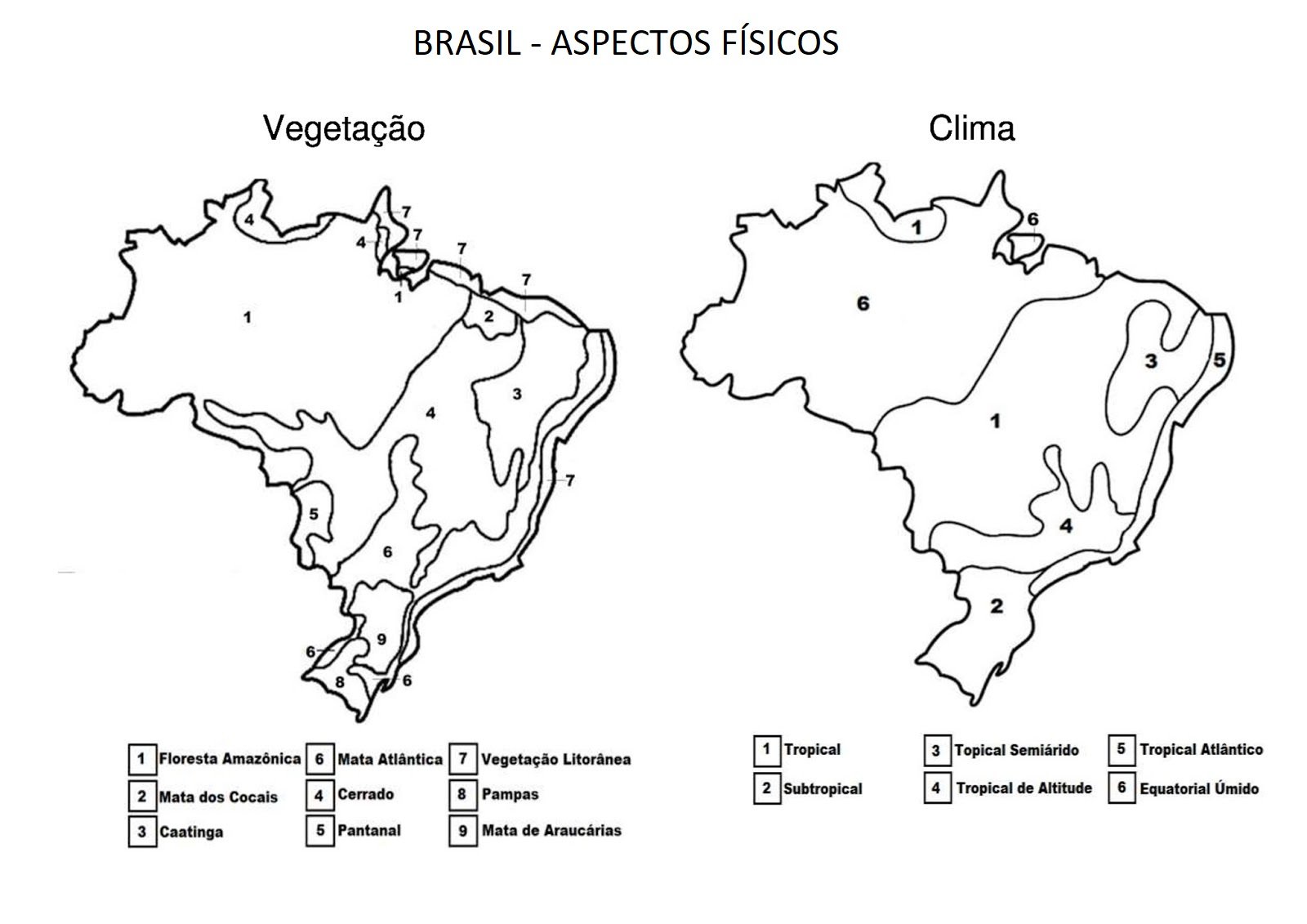 Vegetação e Clima do Brasil para colorir - NerdProfessor